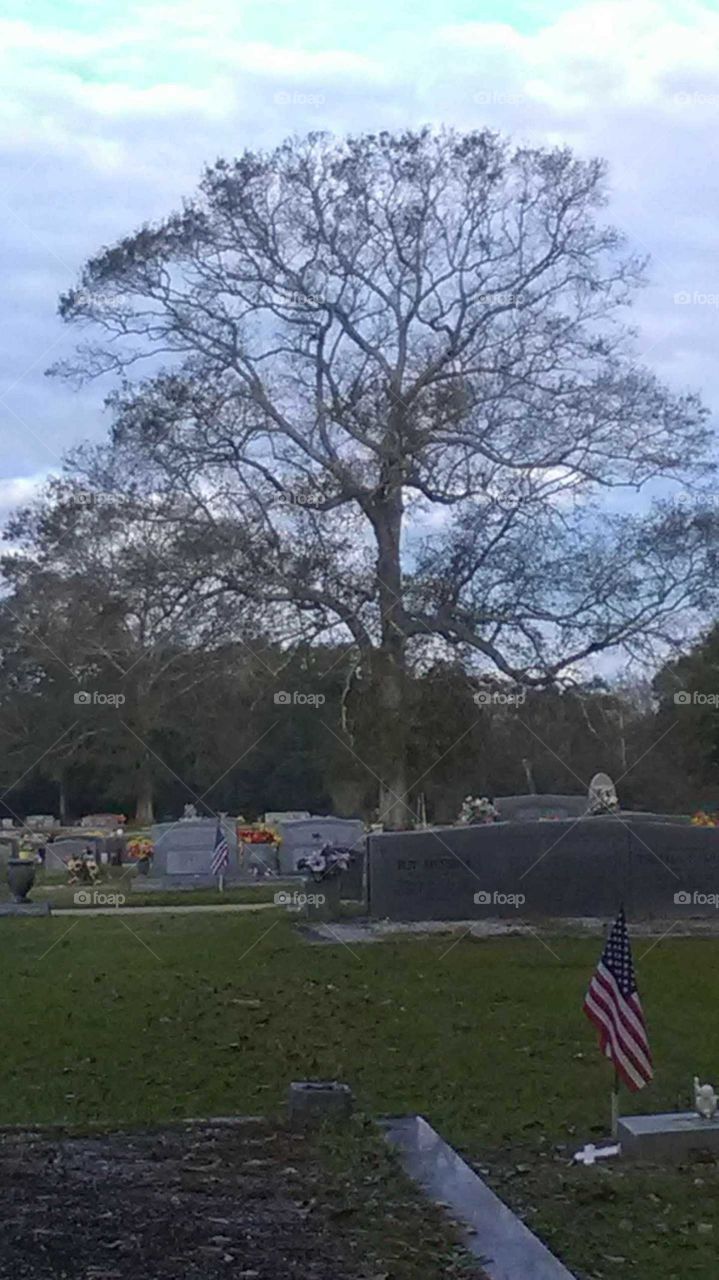 Flags flying in Bogolusa Louisiana graveyard