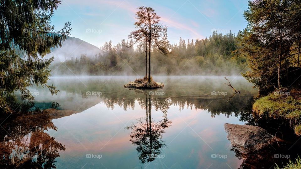 A professional photographer ✅need support 🙏