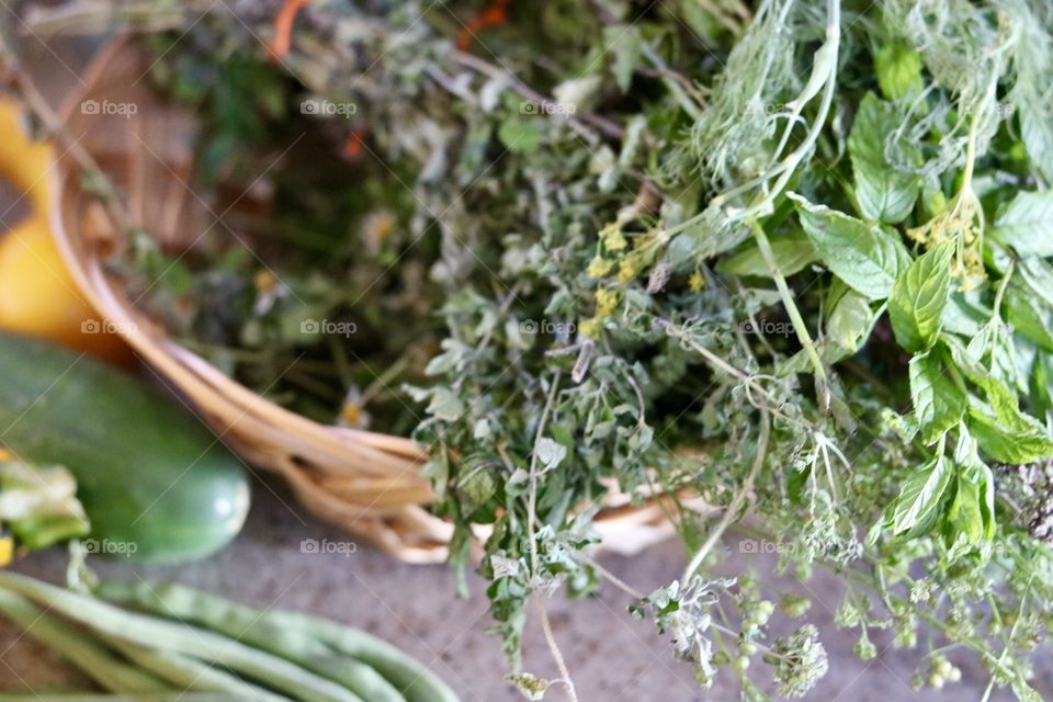Harvest herbs