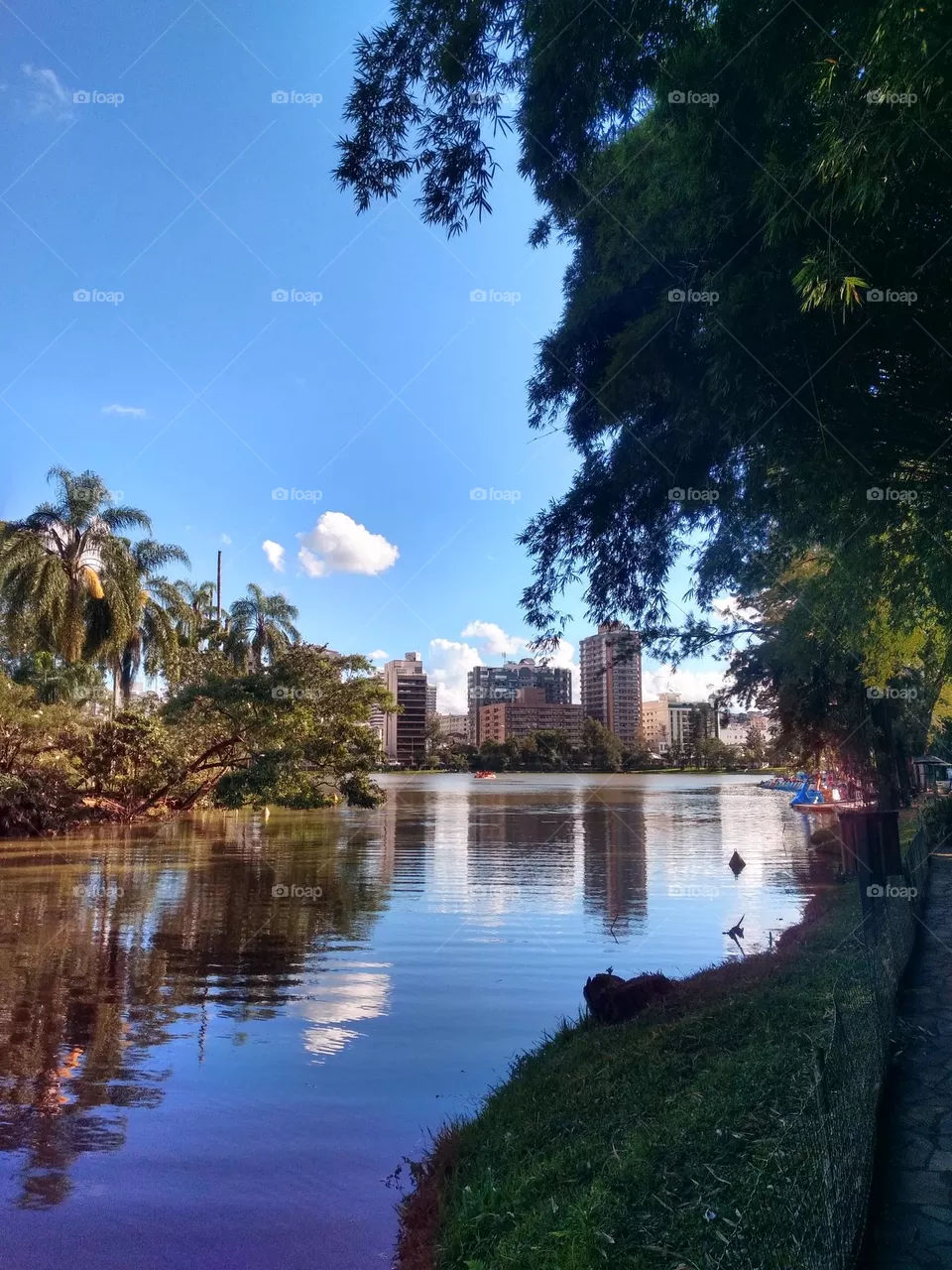 lagoa