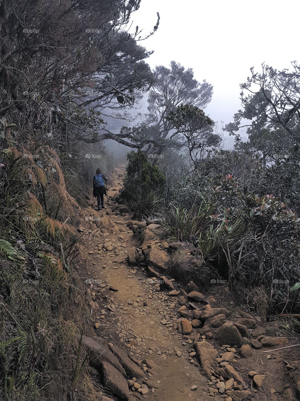 Hiking into the mist
