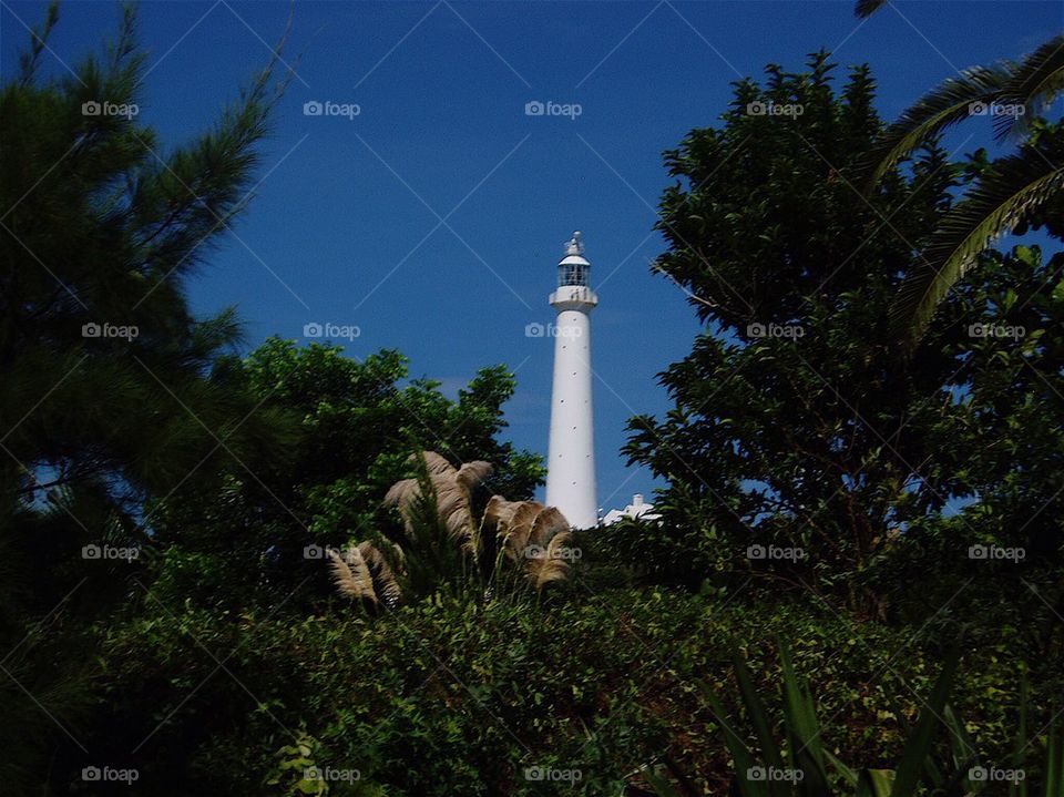 Gibbs Lighthouse