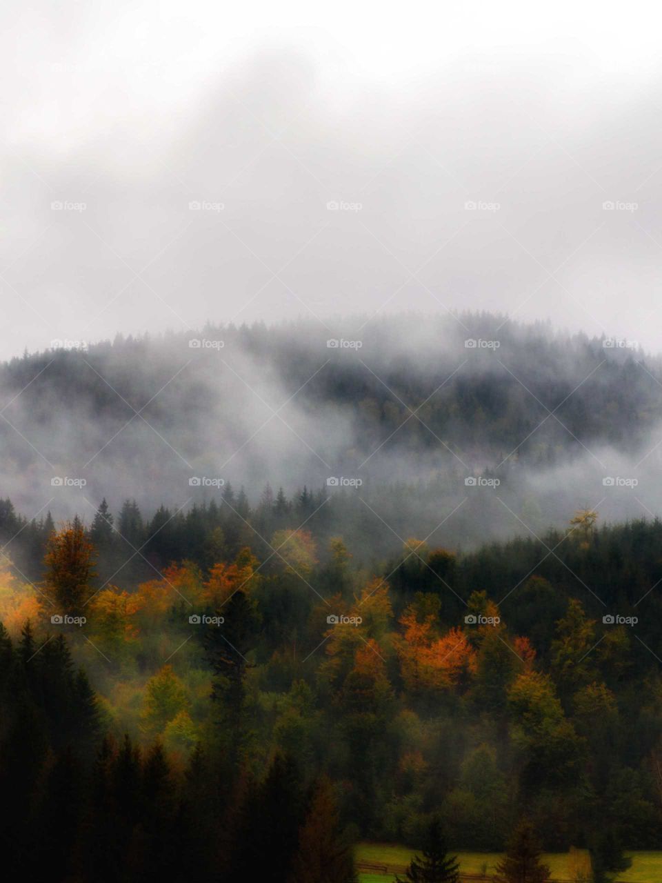 autumn in the carpathian mountains