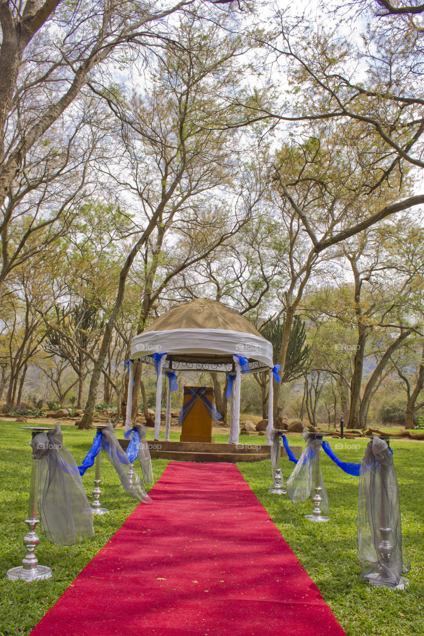 red carpet leading to small canopy