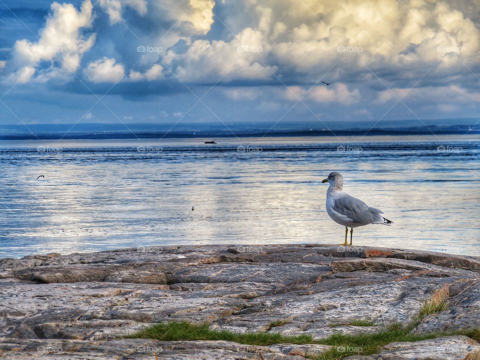 Tadoussac Québec