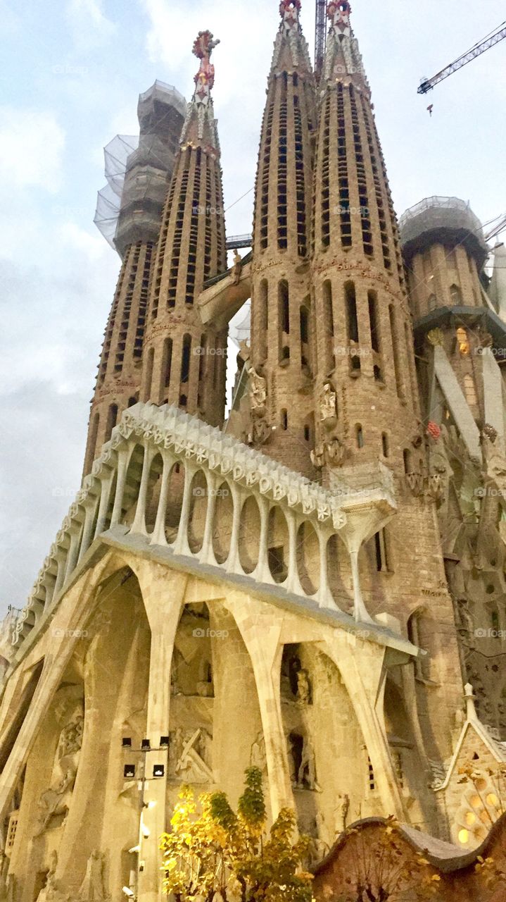 The beautiful Sagrada Familia church in Barcelona, Spain designed by Catalan architect Antoni Gaudi