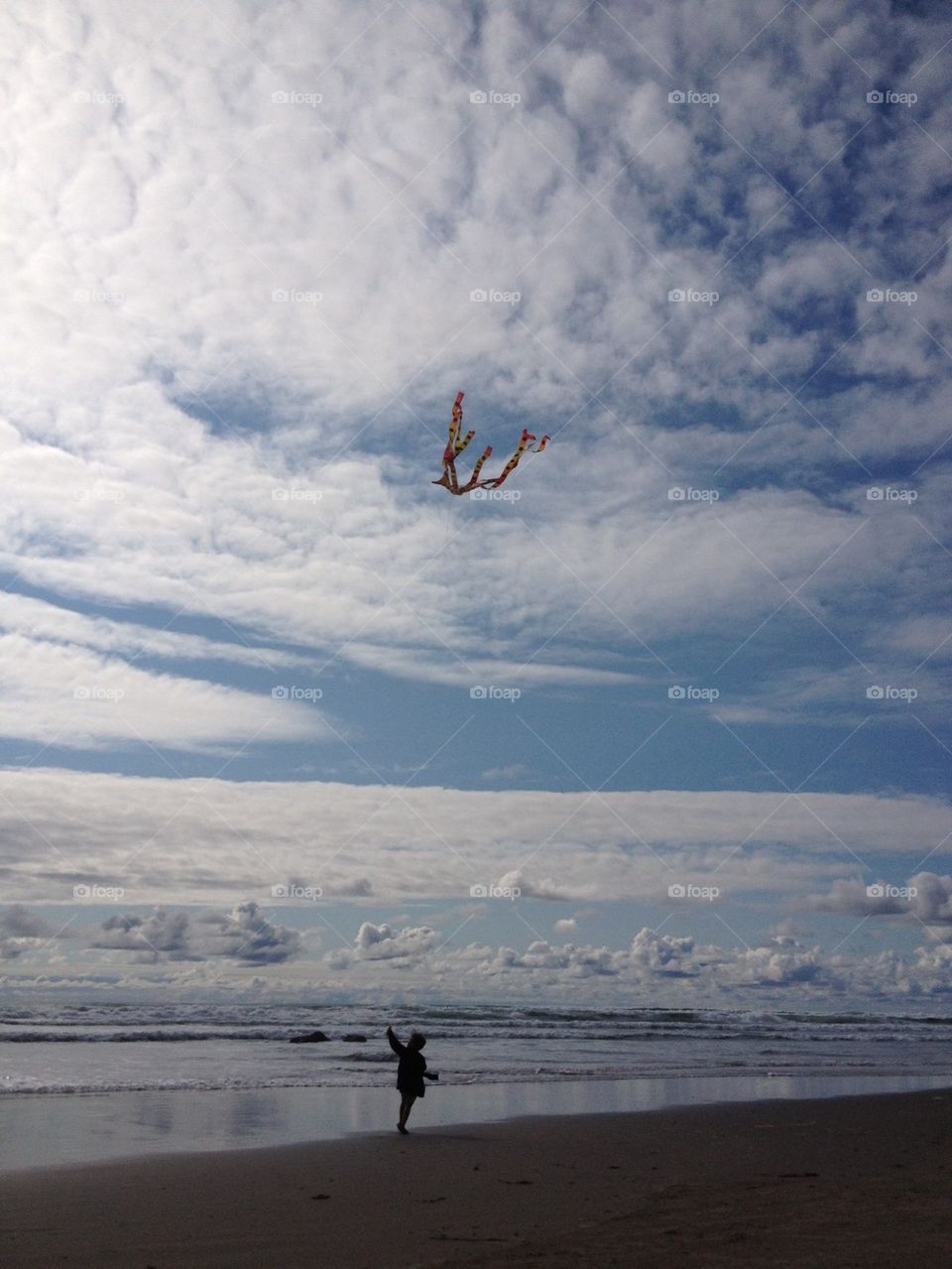 Kite flying at beach