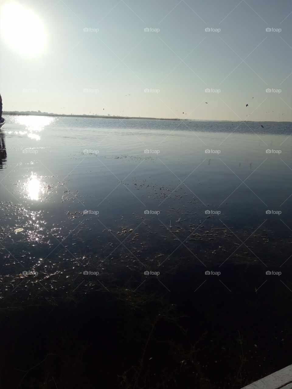Sun reflection on lake