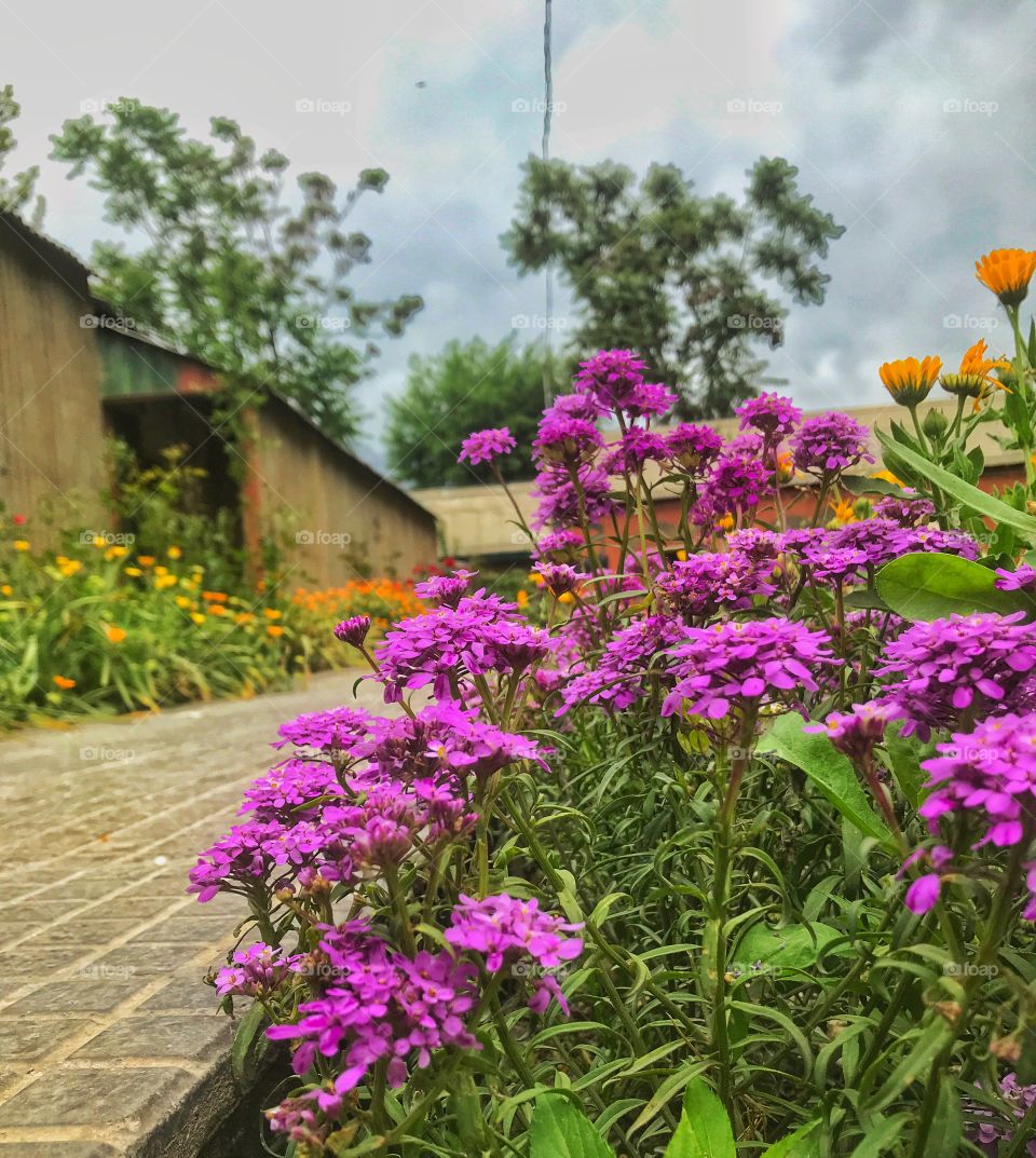 Parhway to heaven is straight and simple!!