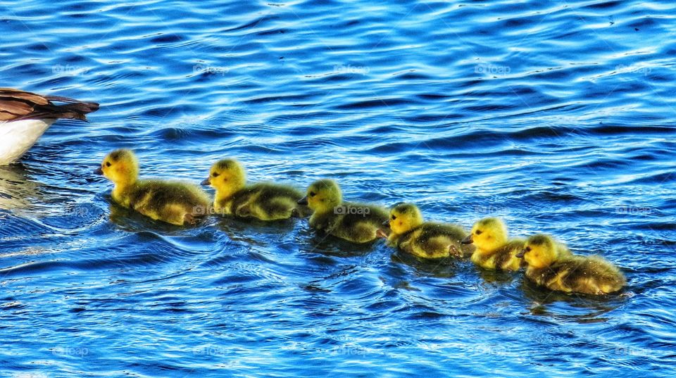 Springtime at last - While cycling this Morning