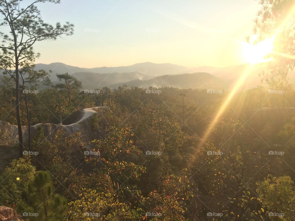 High angle view of nature in thailand