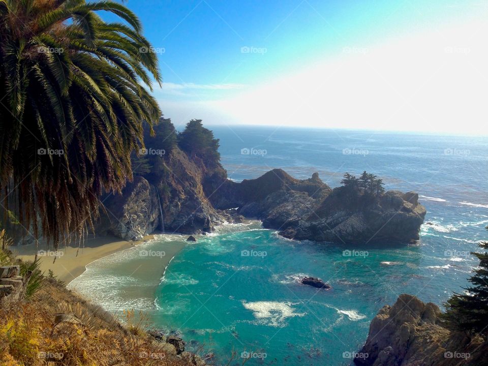 Pfeiffer state park. Big sur, CA
