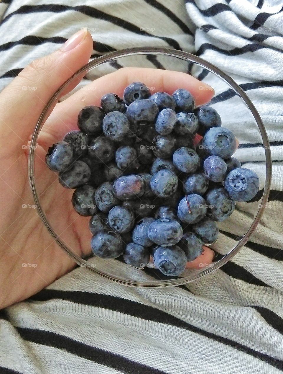 Blueberries. Blueberries