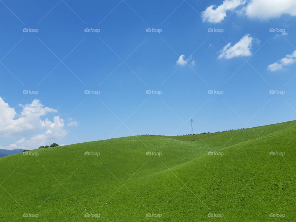 green field under a blue sky