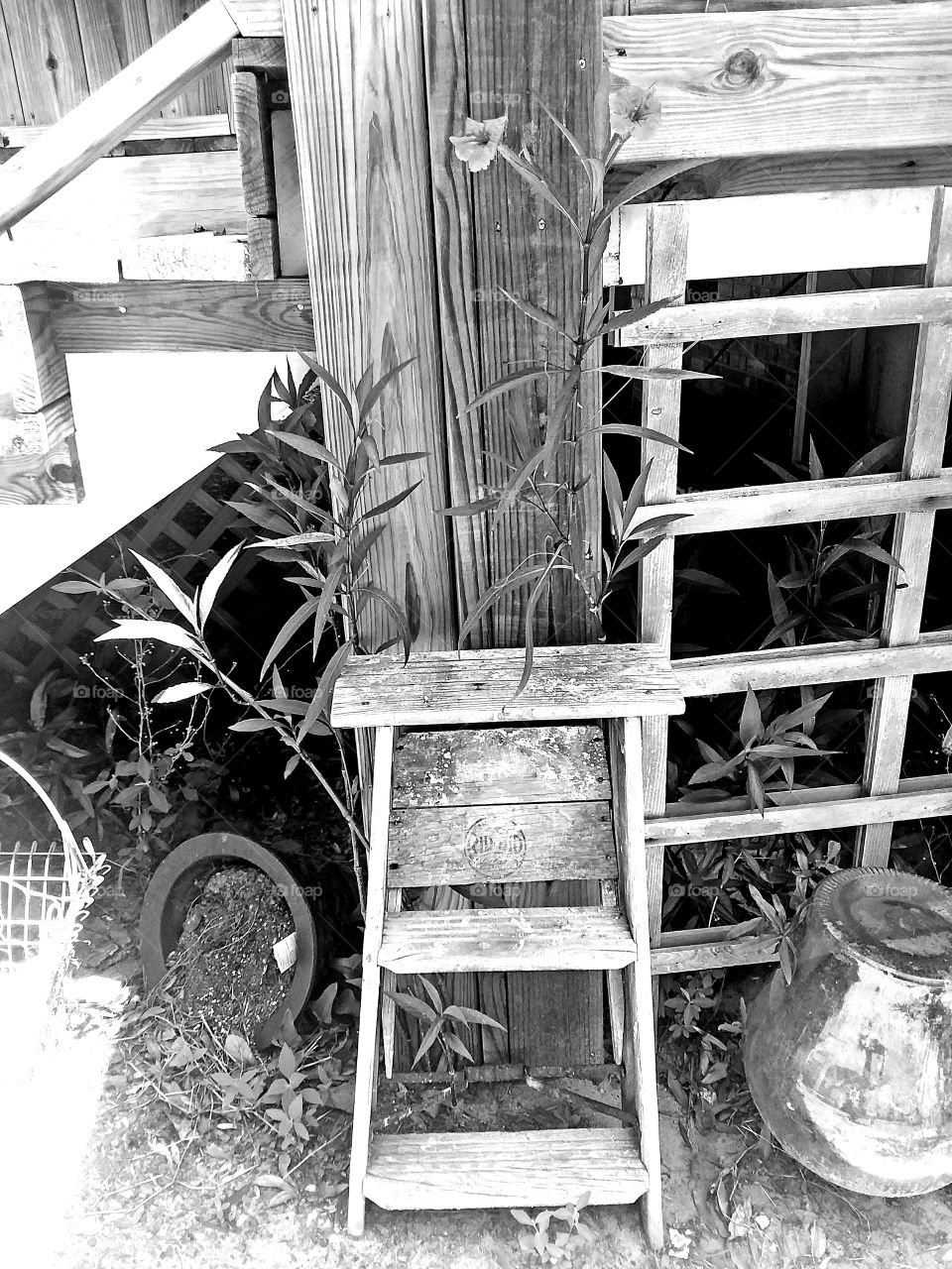 old wood step ladder my favorite