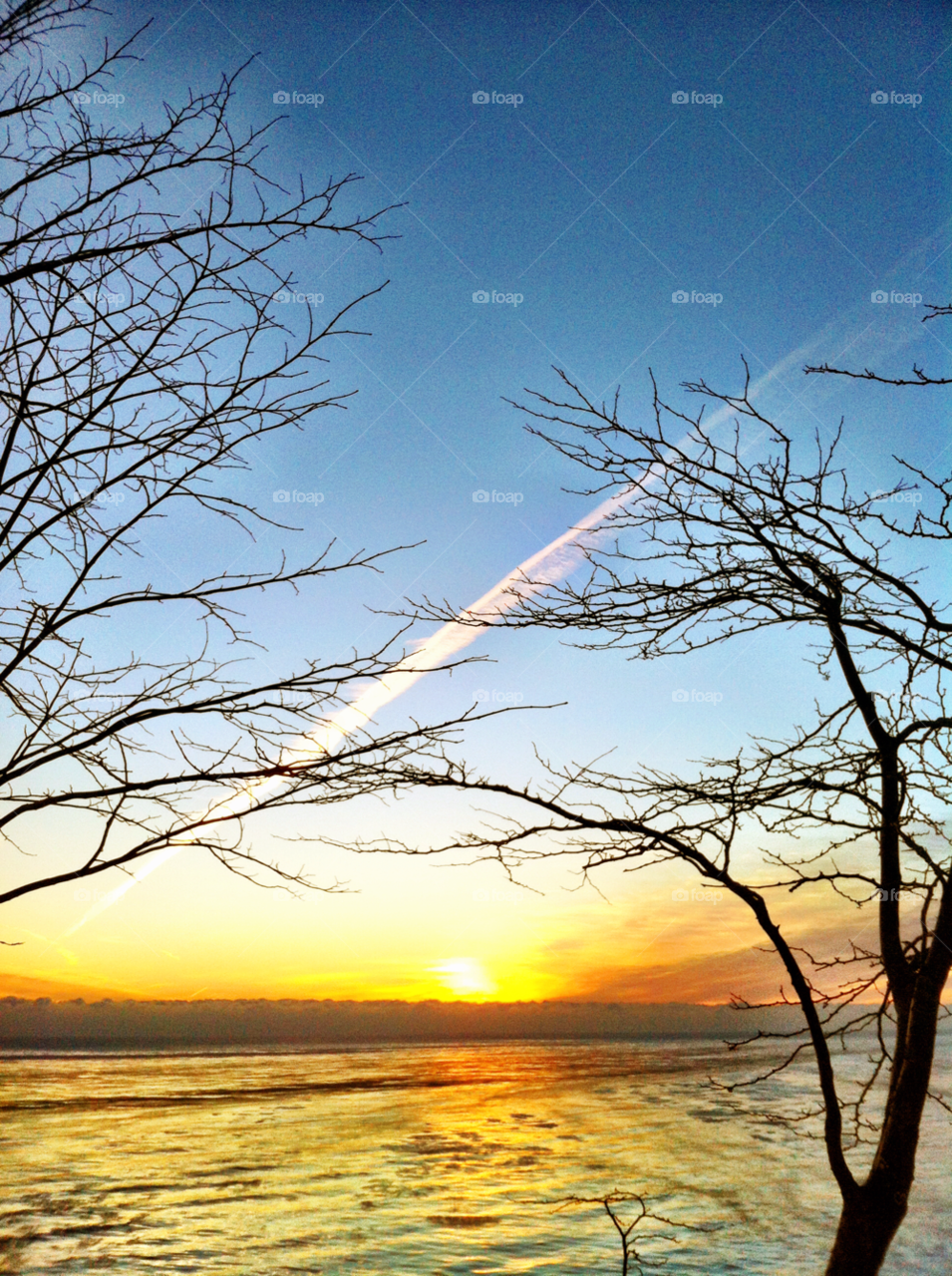 pretty trees sunrise lake michigan by doug414