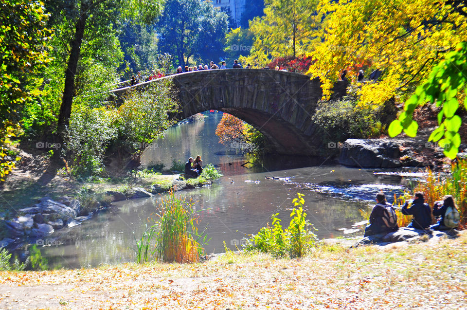 bridge in Central Park NY. Couples  and families flock to Central Park on a warm October day