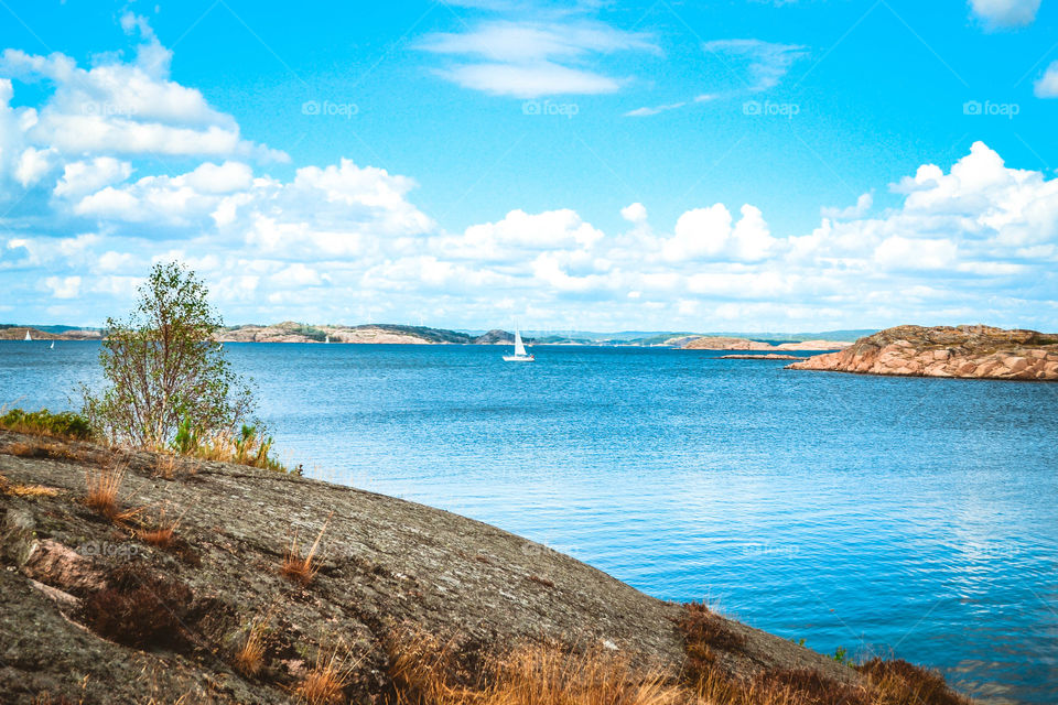 Sailing boat on the ocean on a summer day 