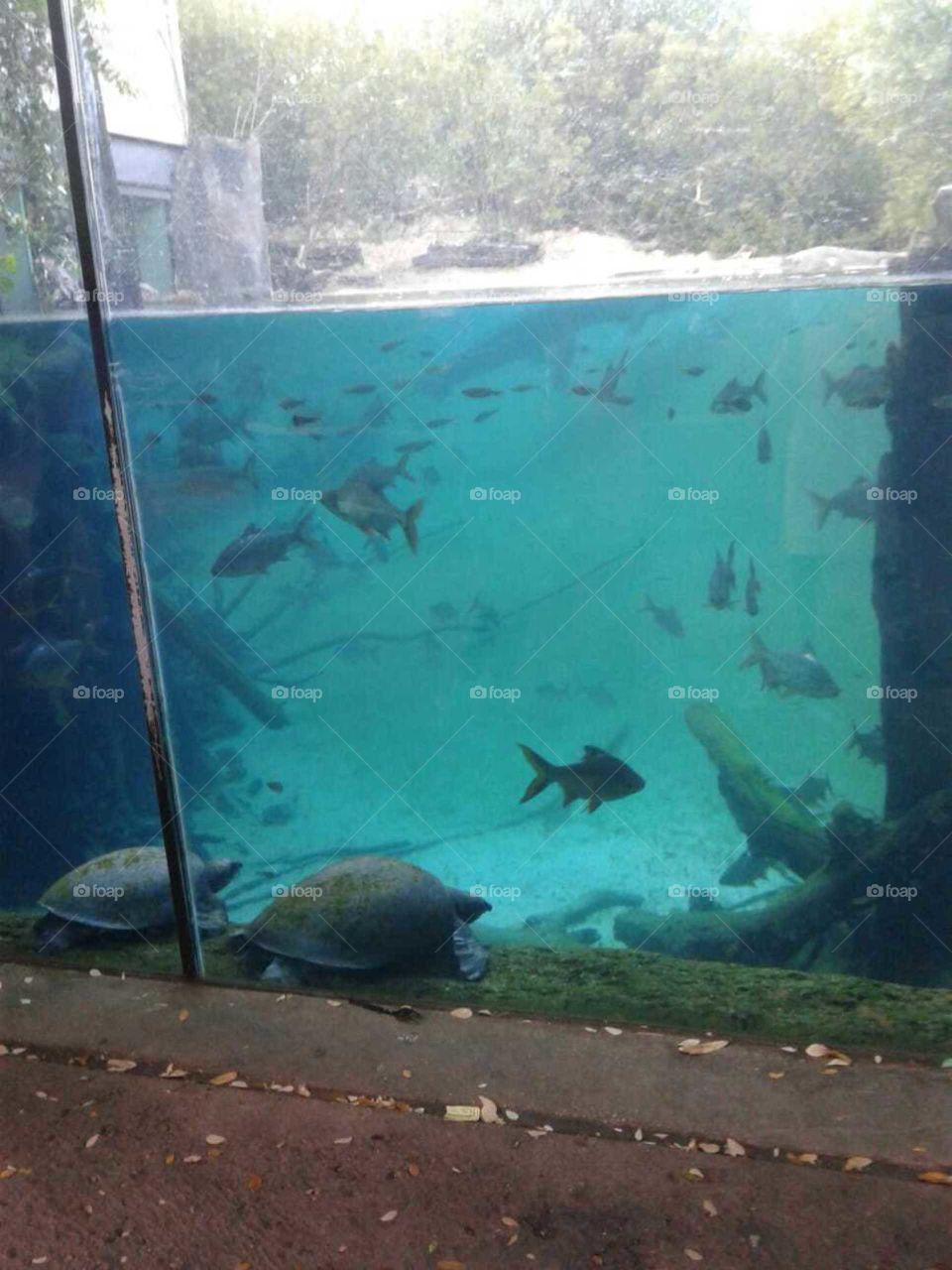 sea aquarium