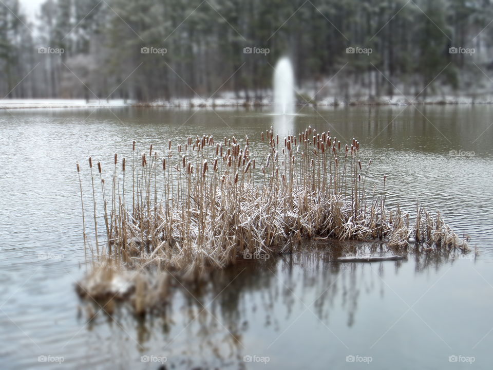 snowy waters