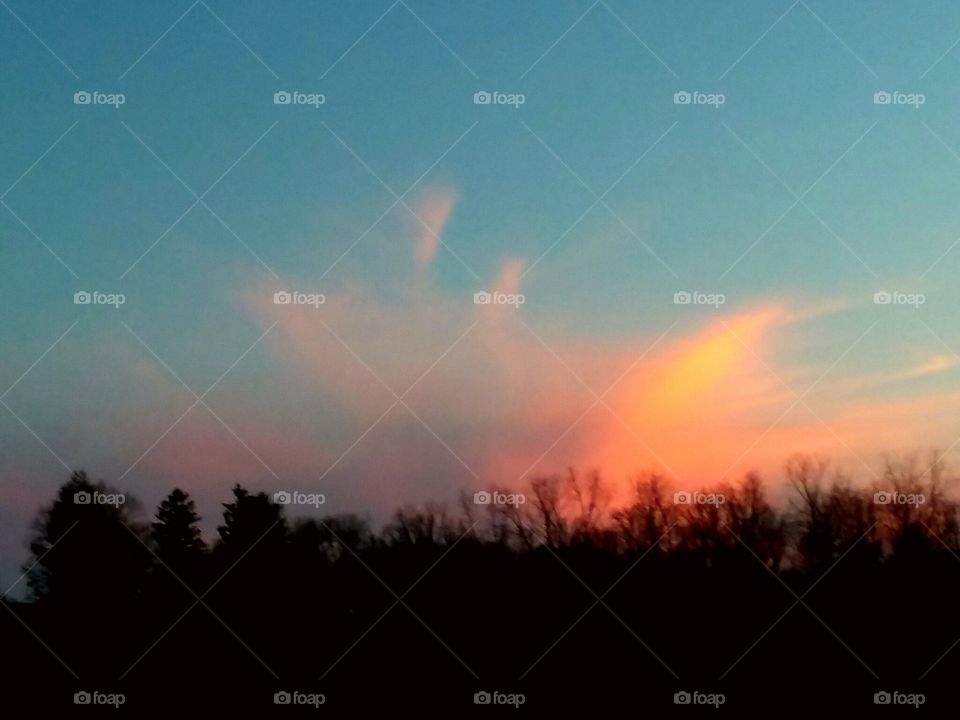 Nature with the backsplash of the sunset