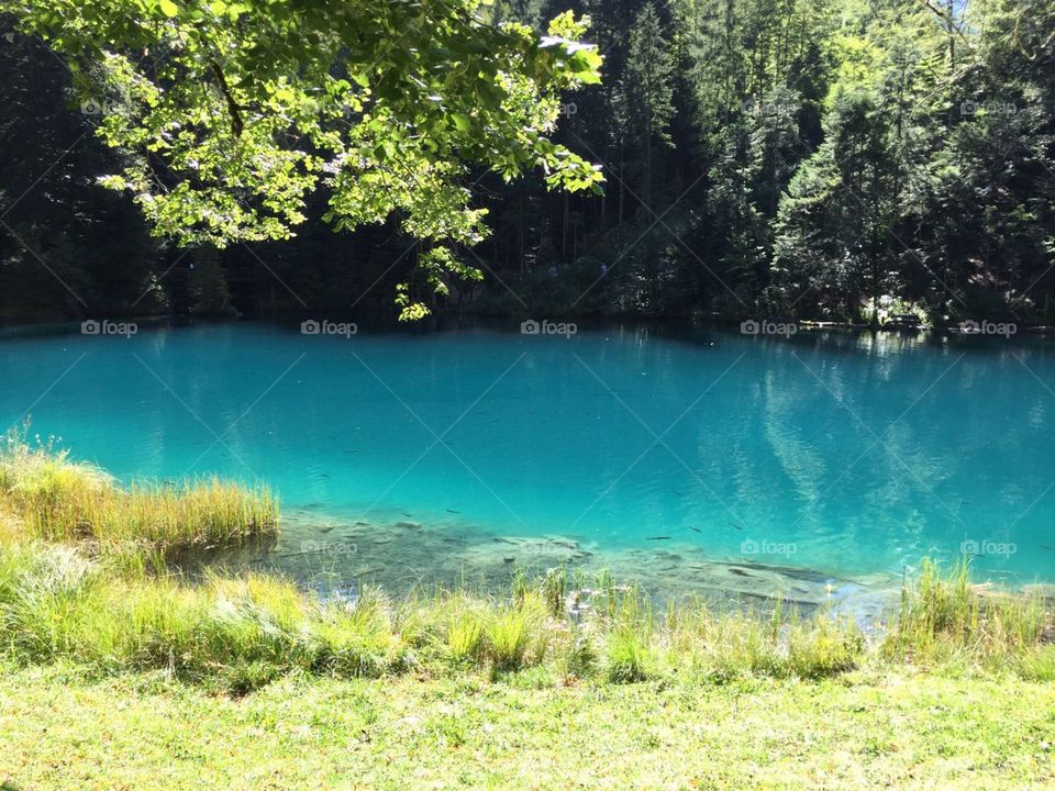 blausee