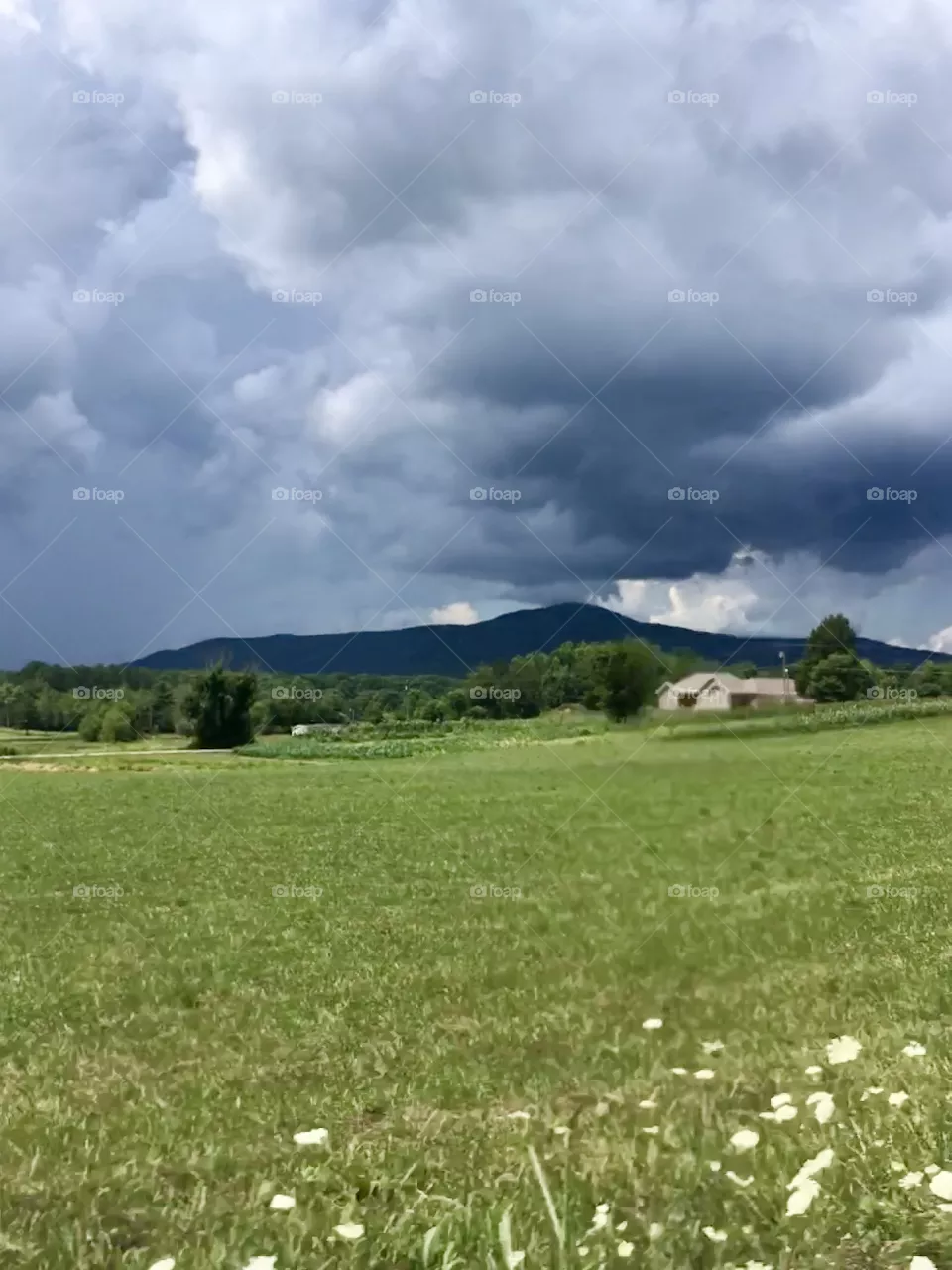 Clouds