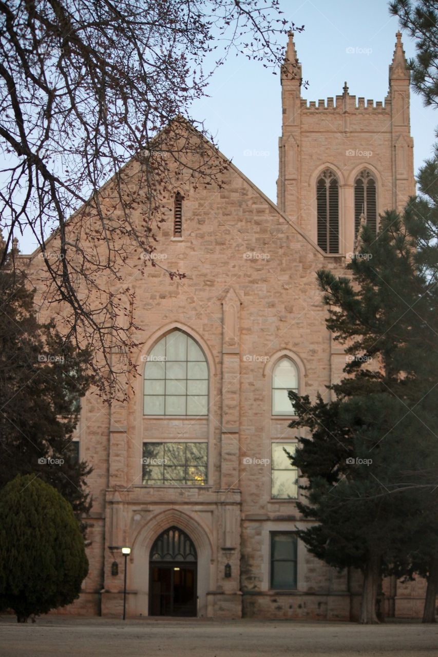 Vintage University Building