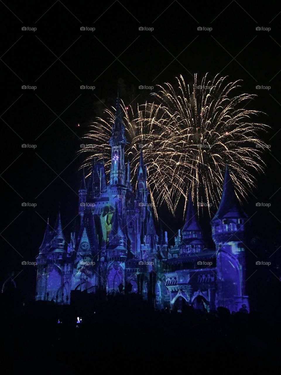 Amazing fireworks show in Disney, Magic Kingdom!