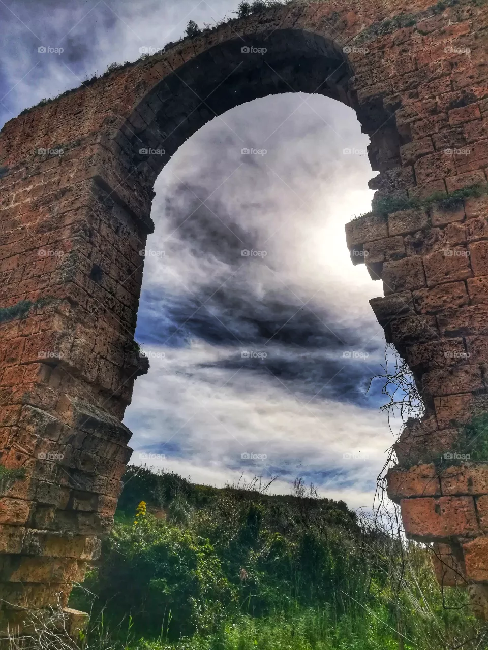 Arche