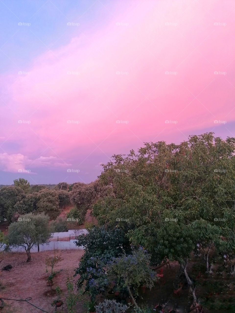 Pink sky
