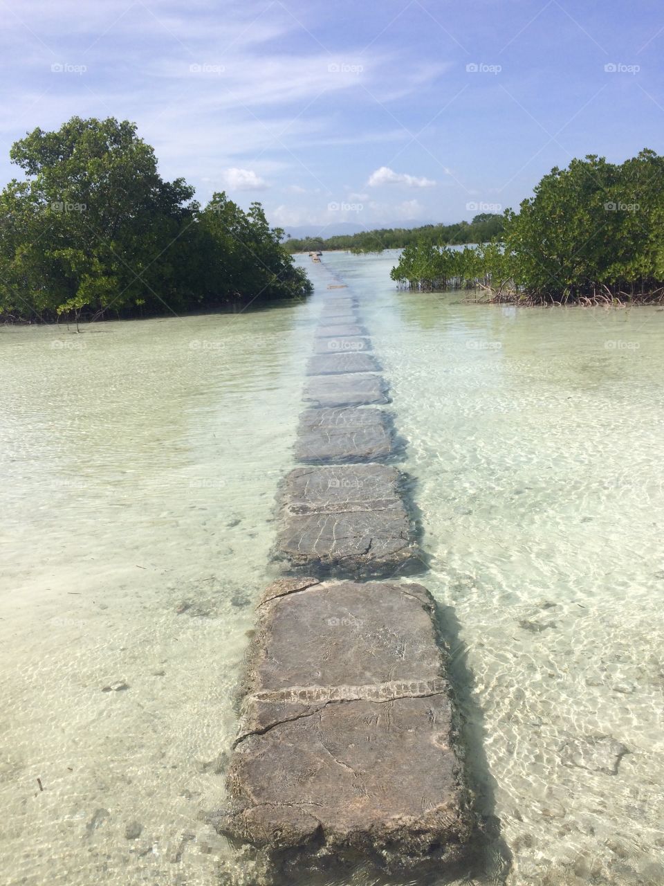 Path through crystal clear waters on Olango Island, Philippines. 