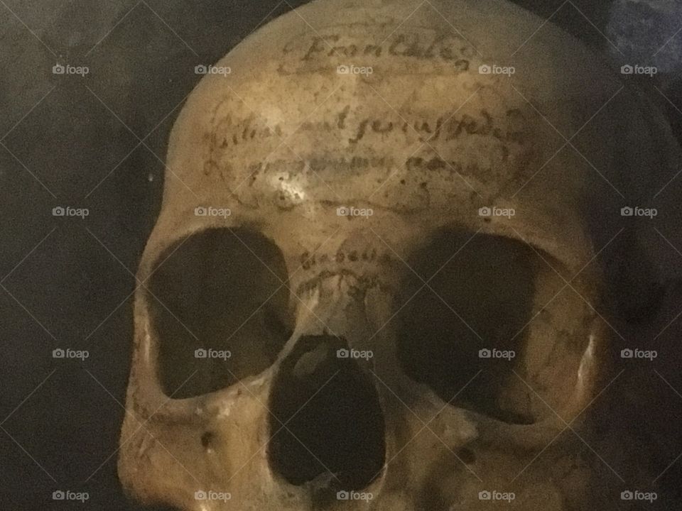 Human skull on the black background