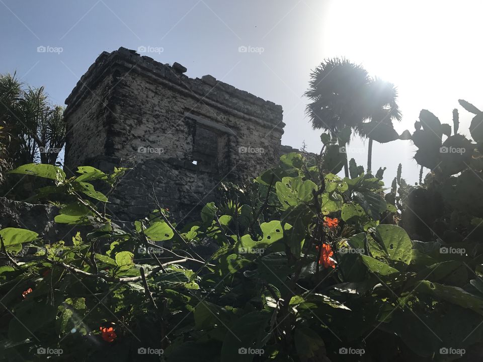 Tourism - Tulum Mayan Ruins in Cancun, Mexico 
