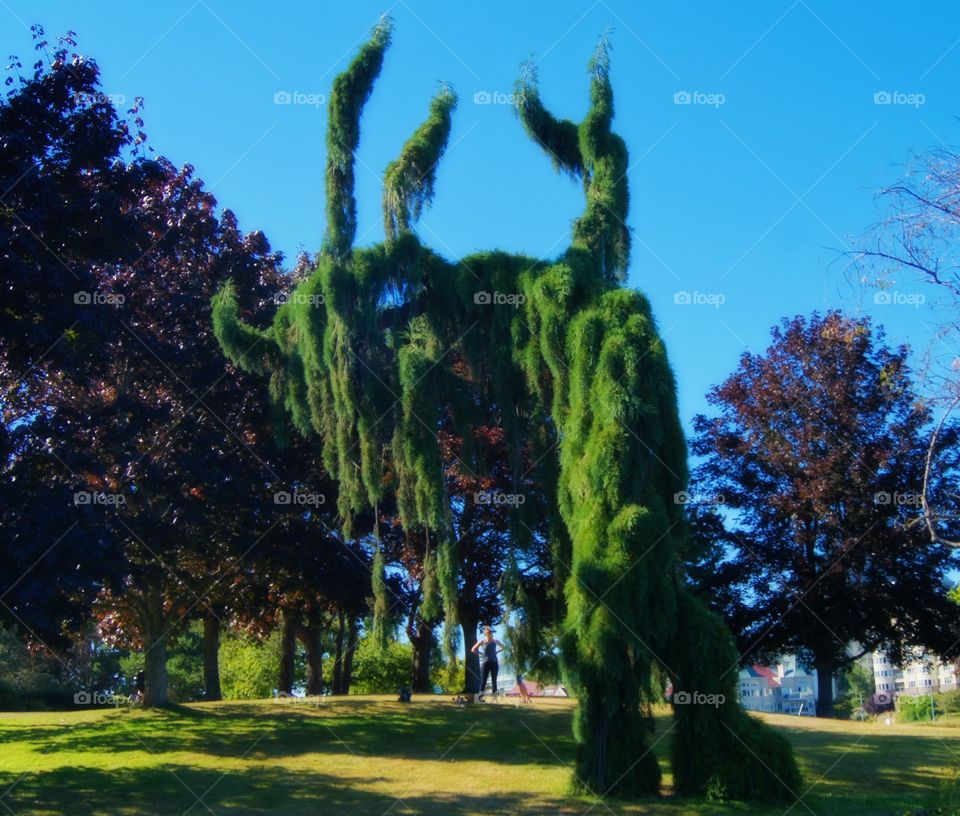 The green tree monster 