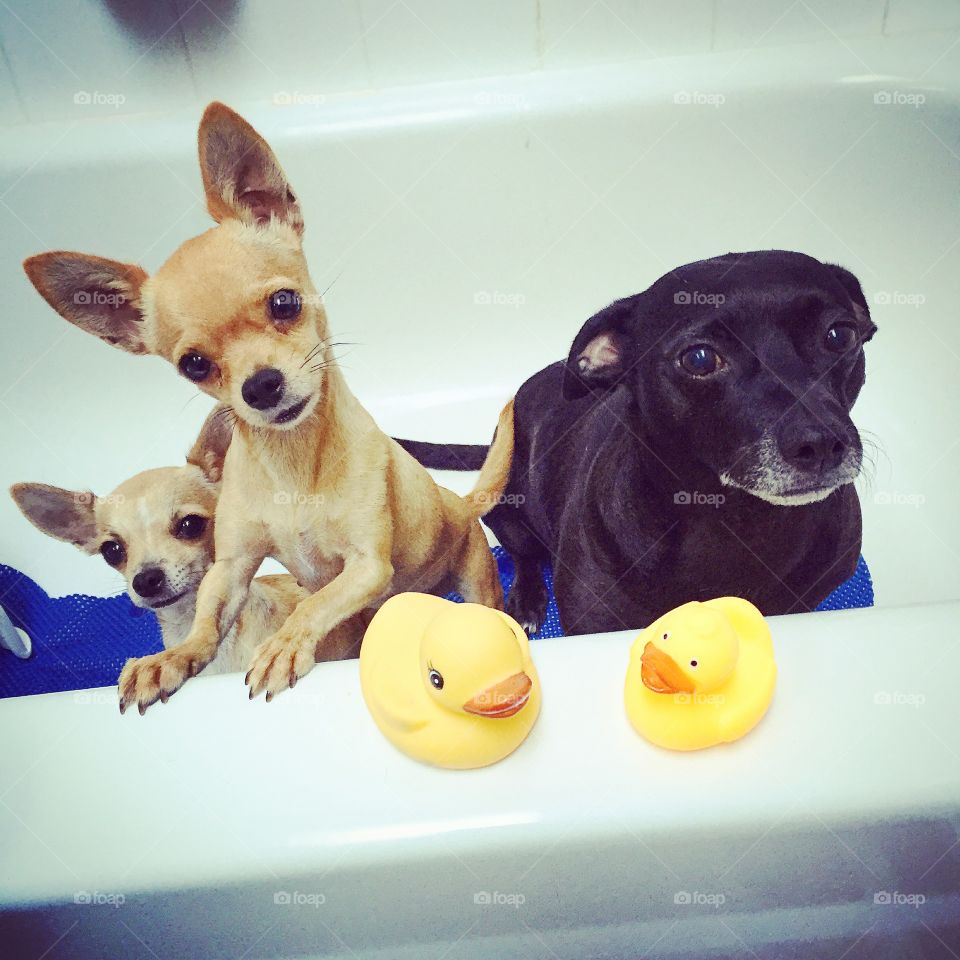 Bath time with my sisters
