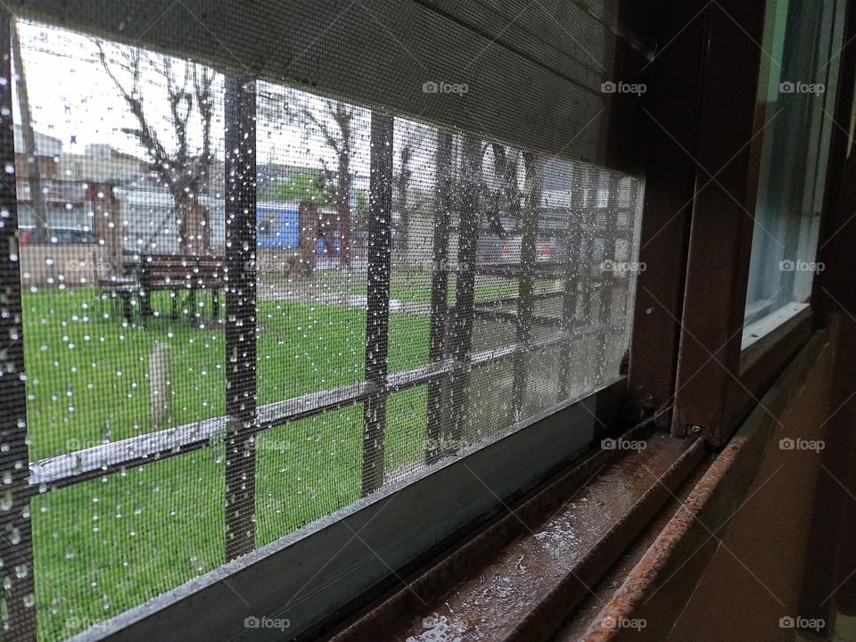 captando las gotitas de lluvia # catching the raindrops ...