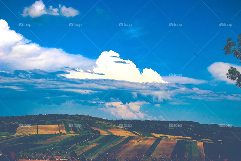 wiew