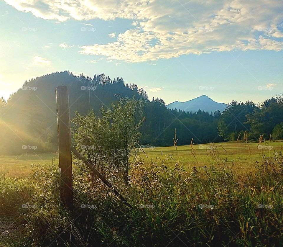 A lone fence post in an autumn colored field, fir treed hills and a silhouette of foothills with fluffy  clouds in the background.