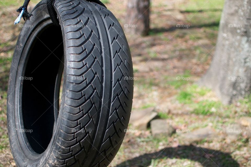 Tire swing 