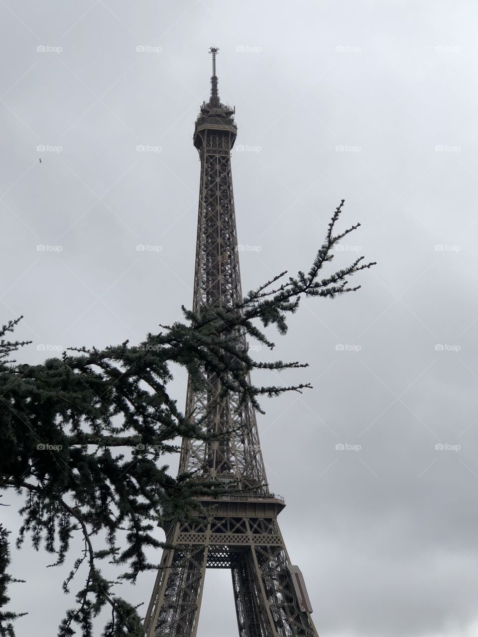 Eiffel Tower 