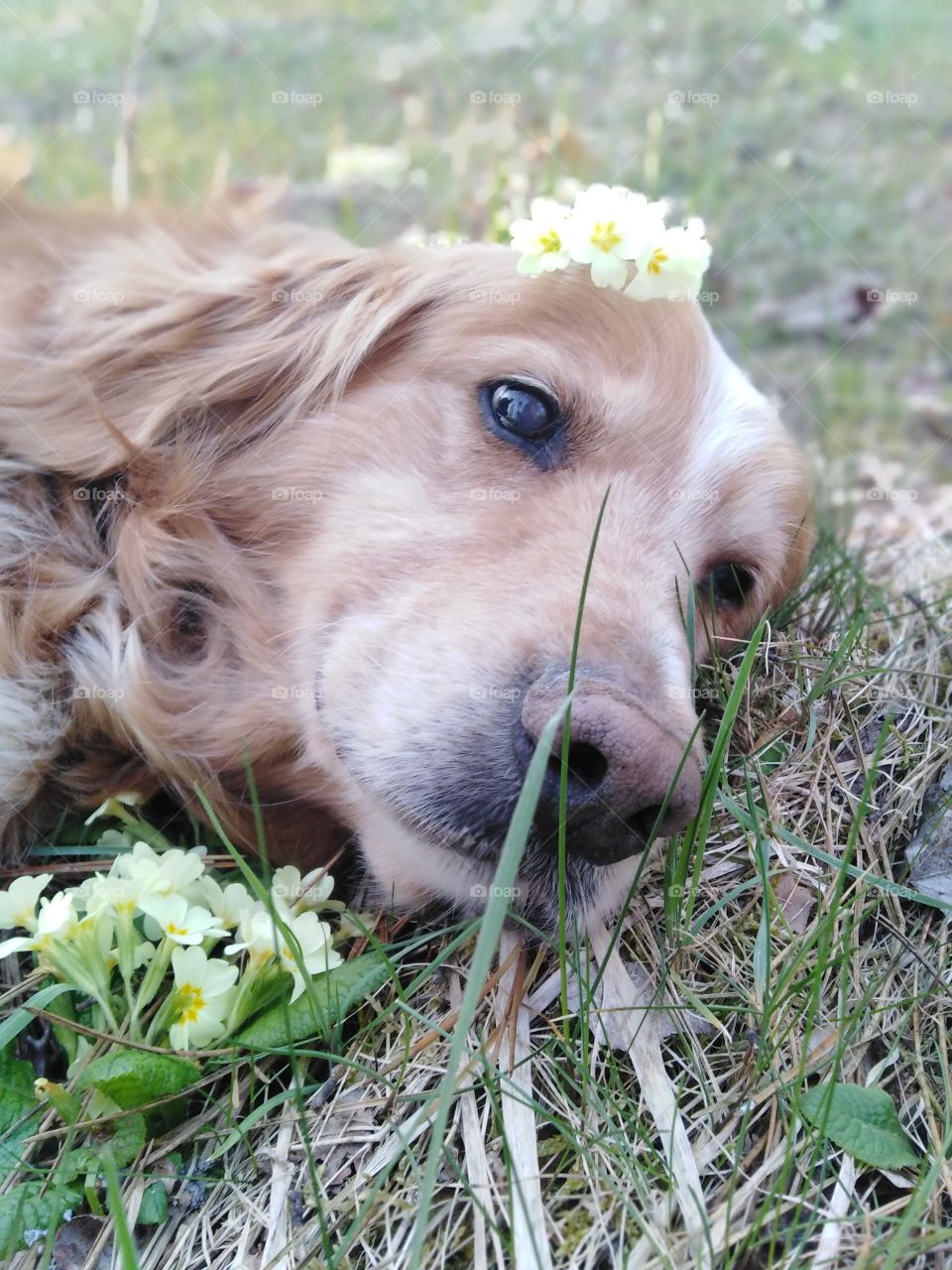 Spring is here 😊😊😊