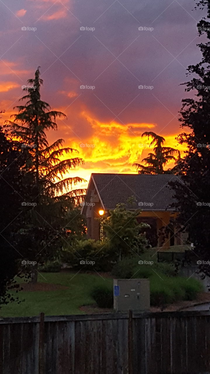 sunset fire