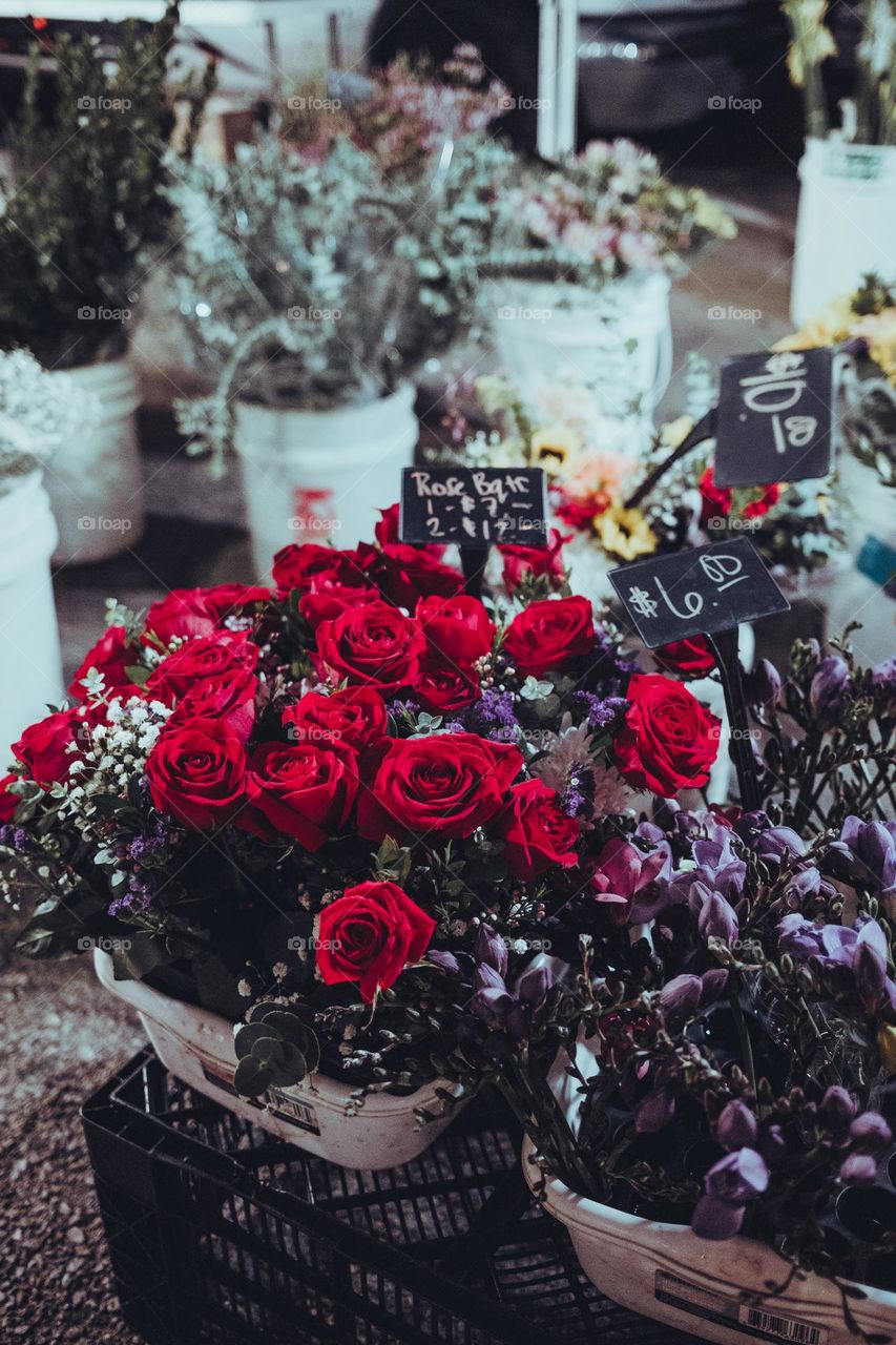 Flowers from a Street Fair