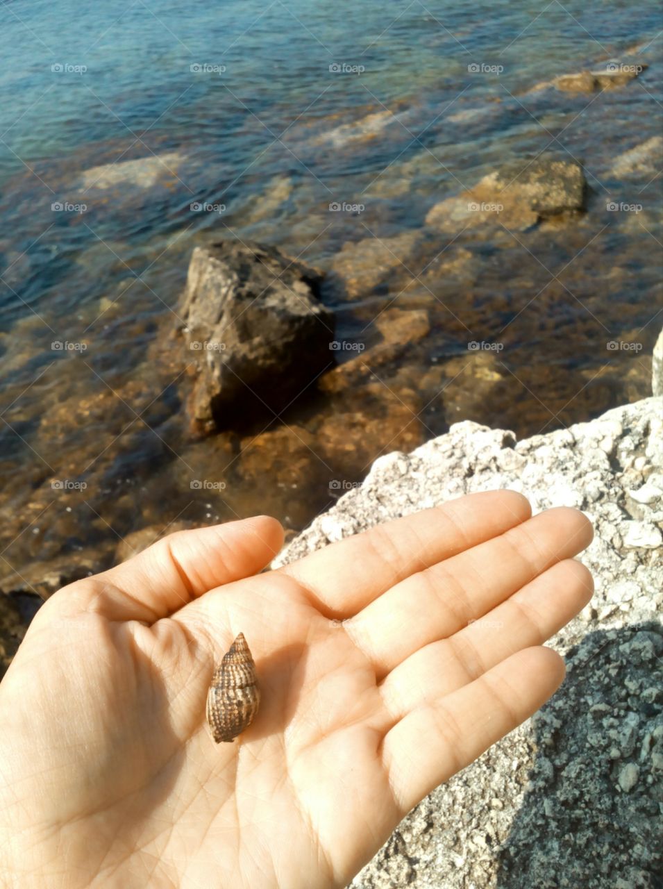 Water, Beach, Nature, Seashore, Sea