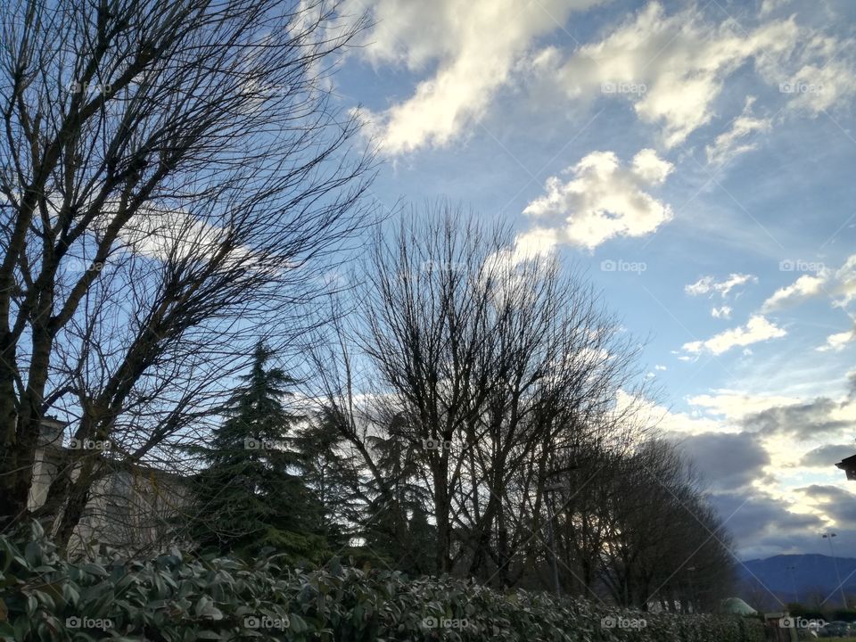 Sunset. Clouds on a blue sky