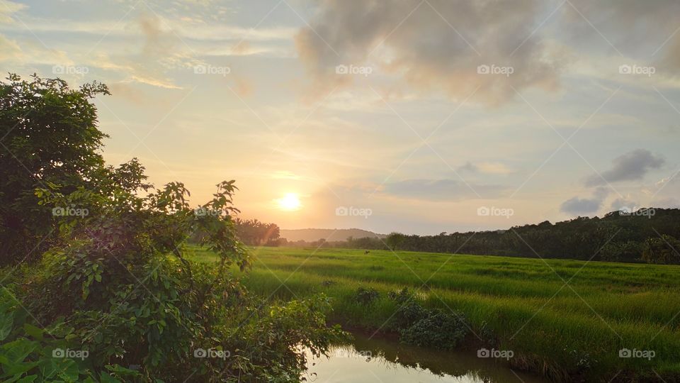 I took it with my phone