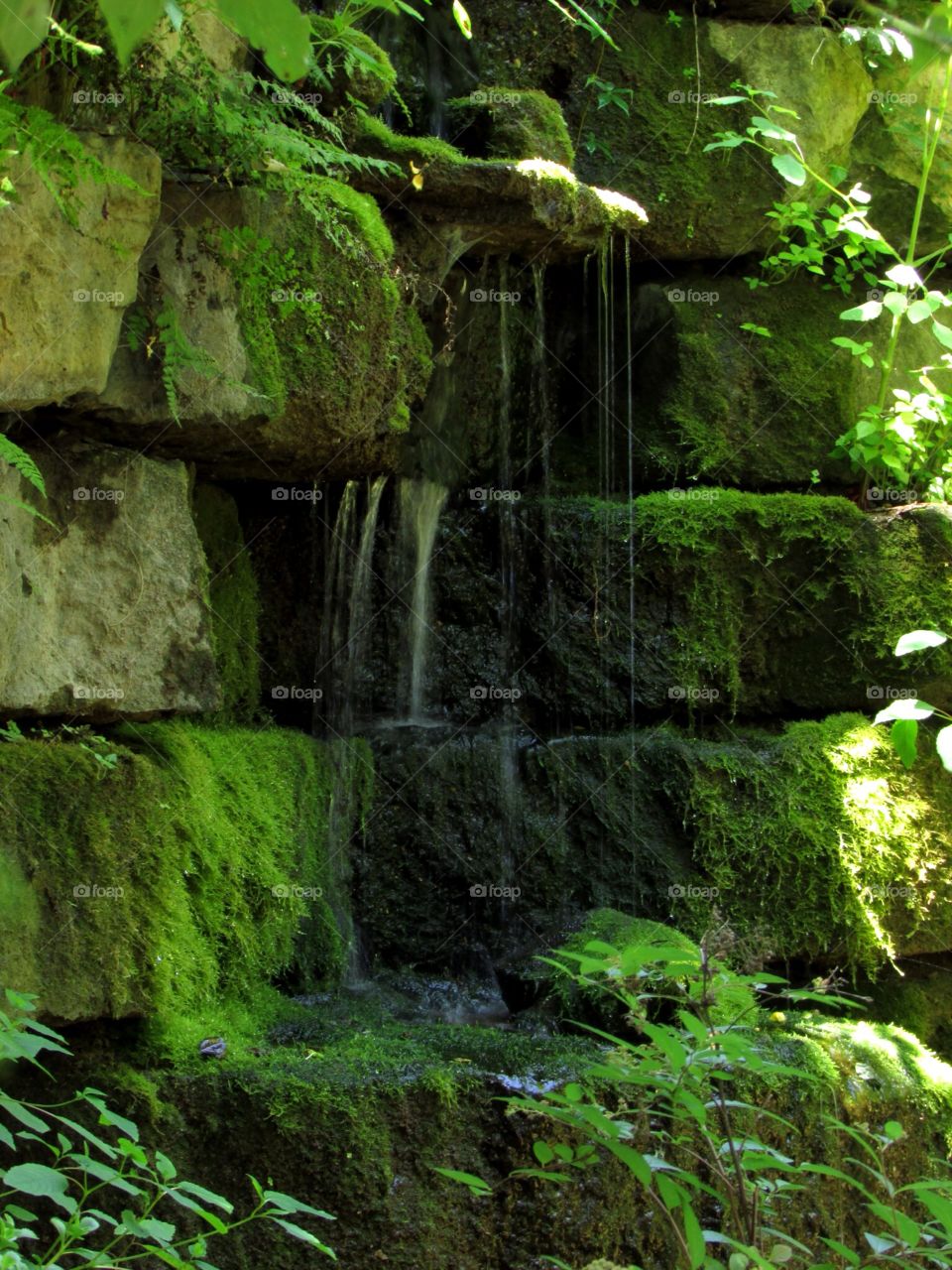 Delightful Tranquility