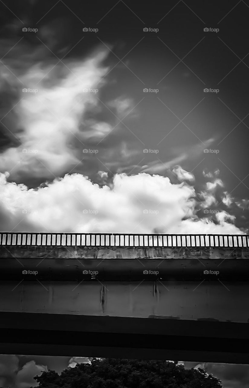 Contemplating that bridge, I remembered this poem: "In these times of gray and leaden skies, we desperately need green trees." (Mario Quintana).