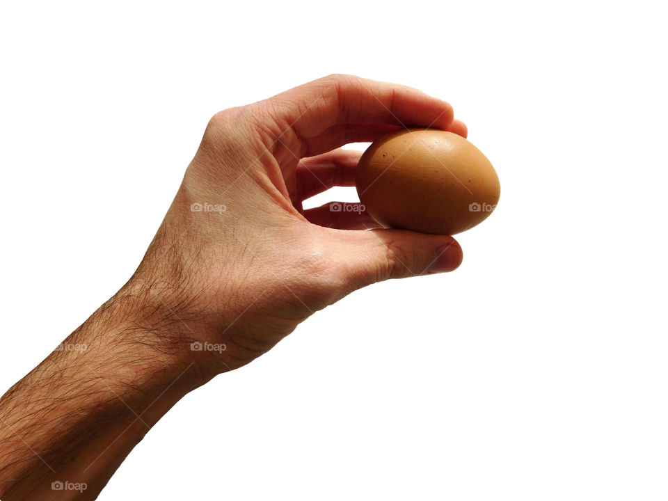 egg in hand